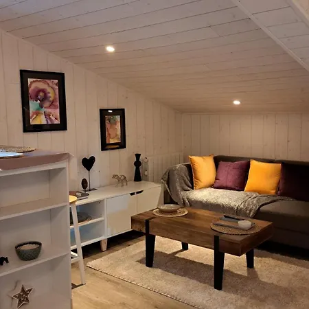 Studio, T2 Et T1-centre *