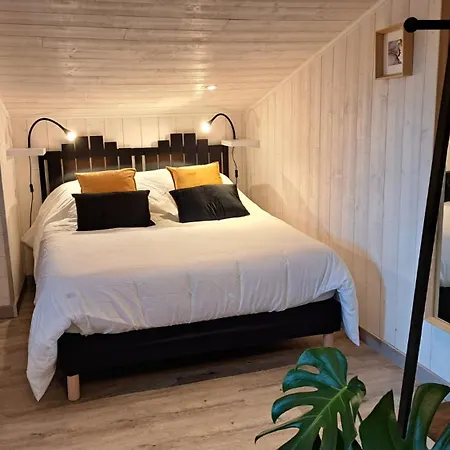 Studio, T2 Et T1-centre Apartament