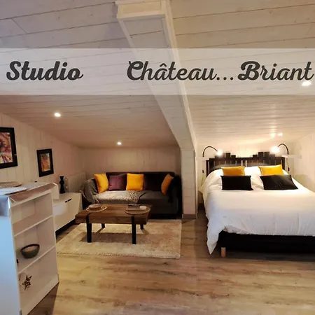 Studio, T2 Et T1-centre Apartament Châteaubriant